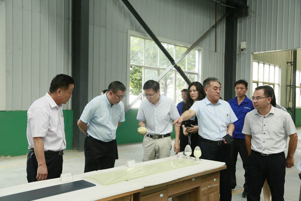 河南证监局王广幼局长一行莅临ca88官方唯一网站集团调研资源市场事情